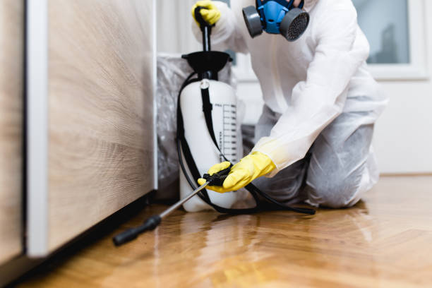 Wasp Removal Services in Athens, GA
