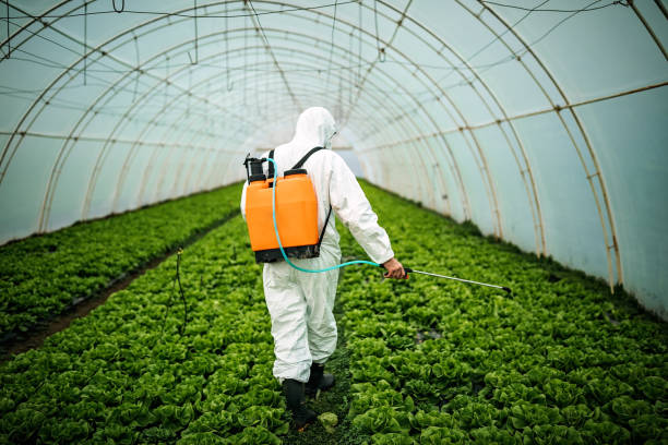 Best Affordable Pest Control Services  in Athens, GA