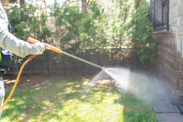 Flea Control Services in Athens, GA